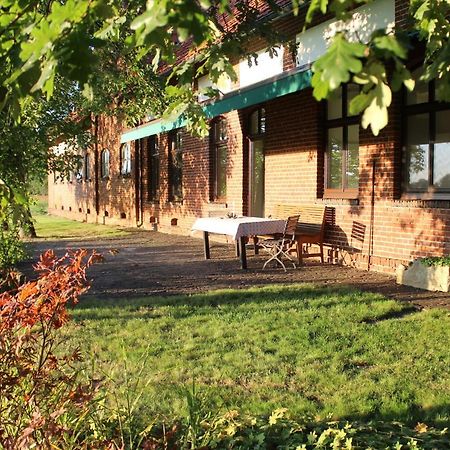 Ferienhaus Auf Gut Sautmannshausen Haselunne Bagian luar foto