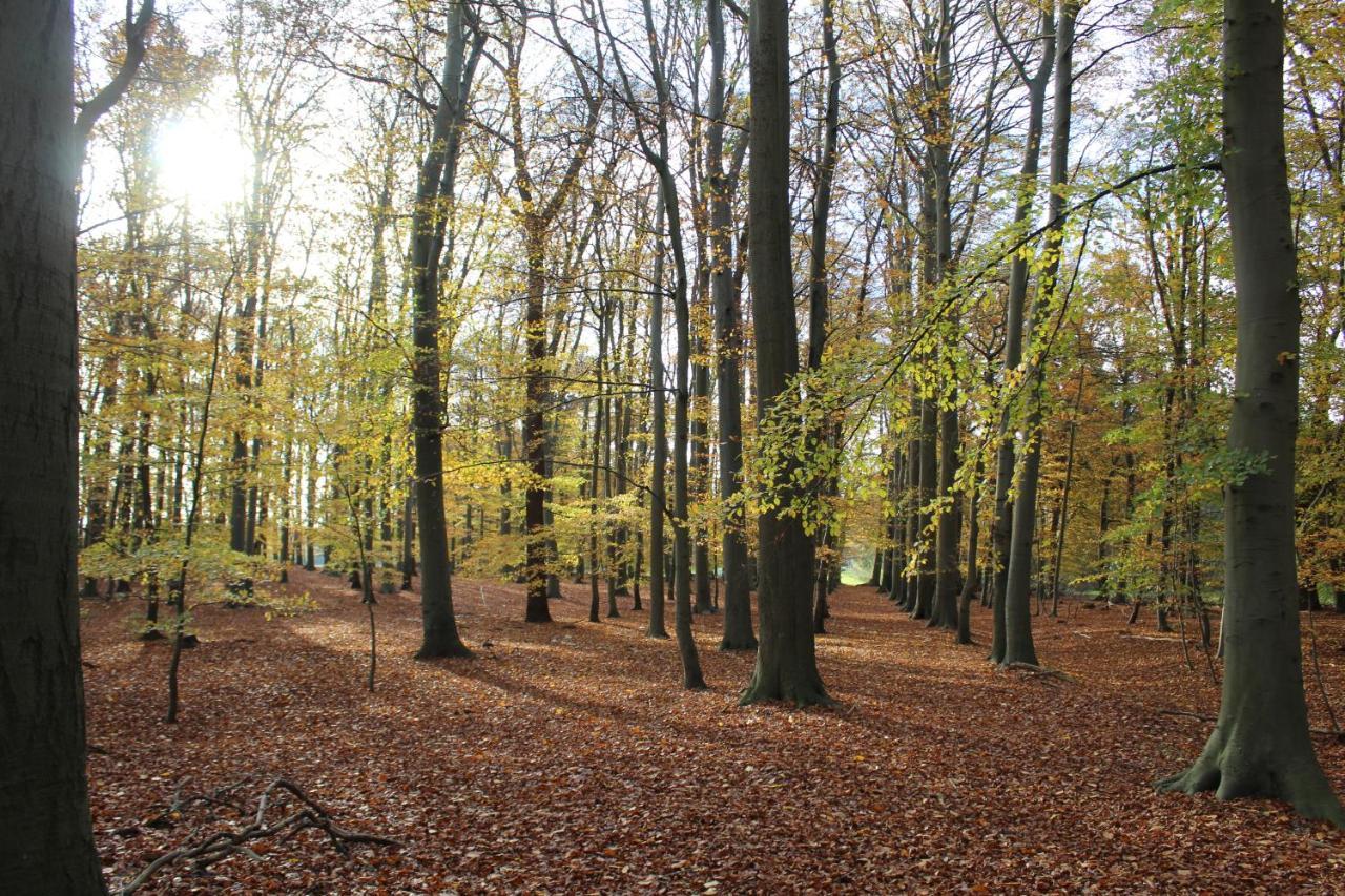 Ferienhaus Auf Gut Sautmannshausen Haselunne Bagian luar foto