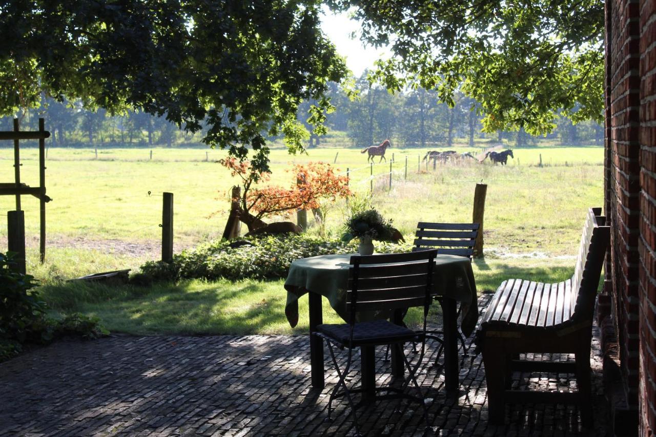 Ferienhaus Auf Gut Sautmannshausen Haselunne Bagian luar foto