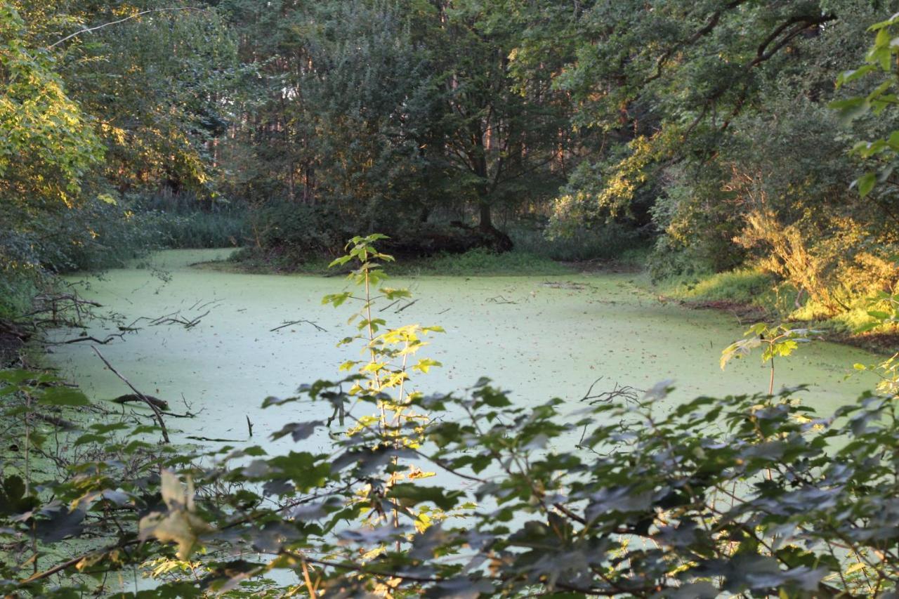 Ferienhaus Auf Gut Sautmannshausen Haselunne Bagian luar foto