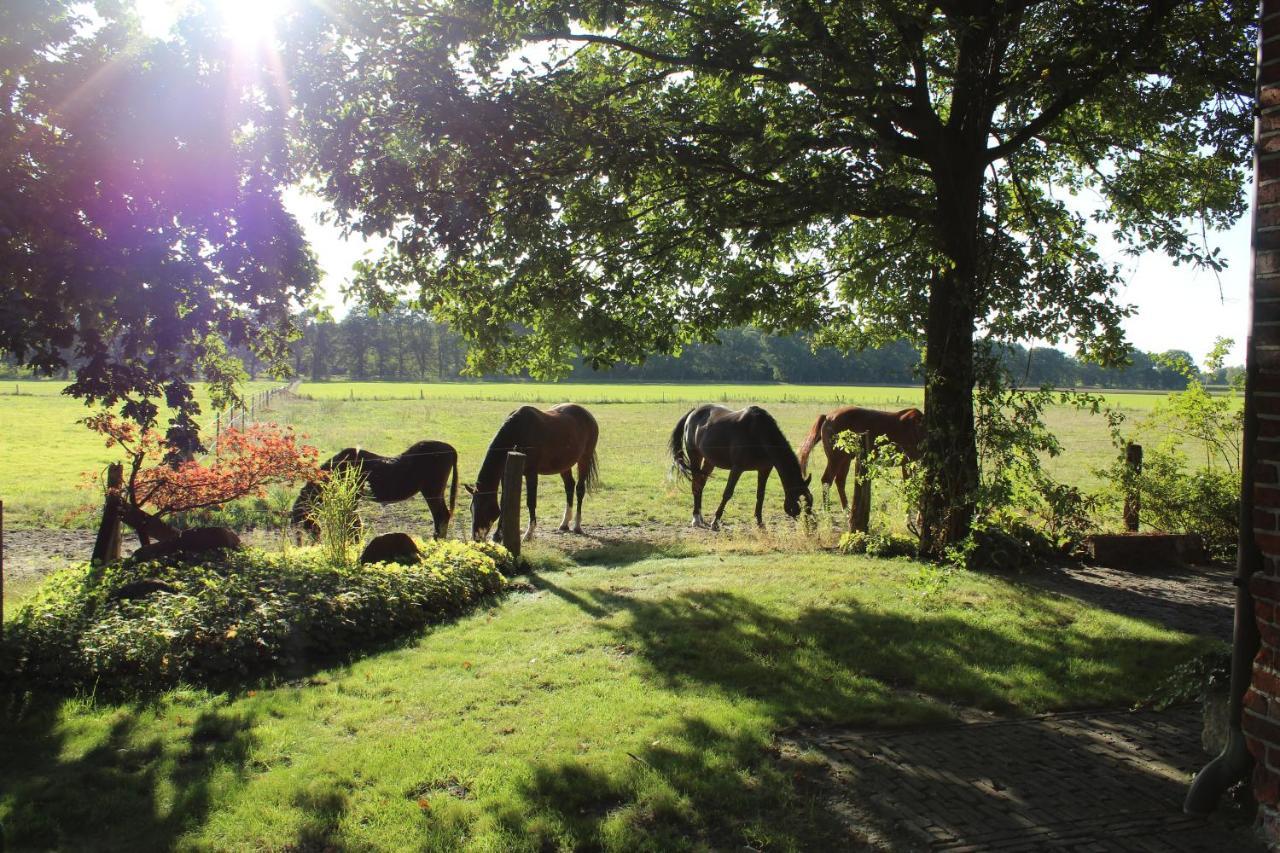 Ferienhaus Auf Gut Sautmannshausen Haselunne Bagian luar foto